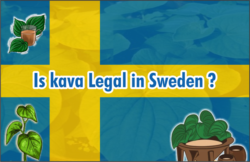 Is-Kava-Legal-In-Sweden